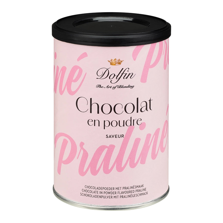 Warme chocolademelk Praliné
