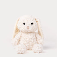 Knuffel konijn op een witte achtergrond