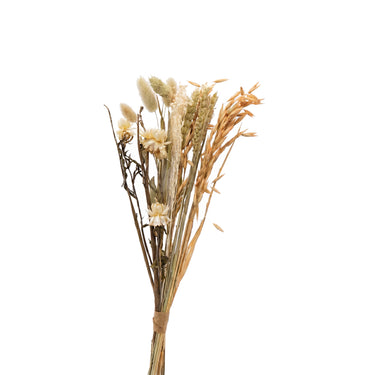 Klein beige bosje droogbloemen